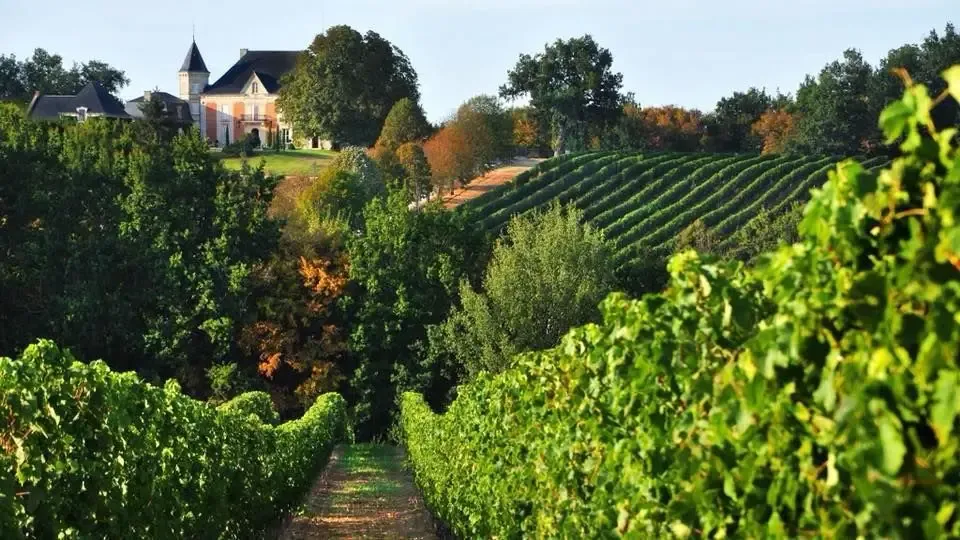 Guillaume Scea Chateau