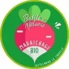 Logo de BASILE NAILLON