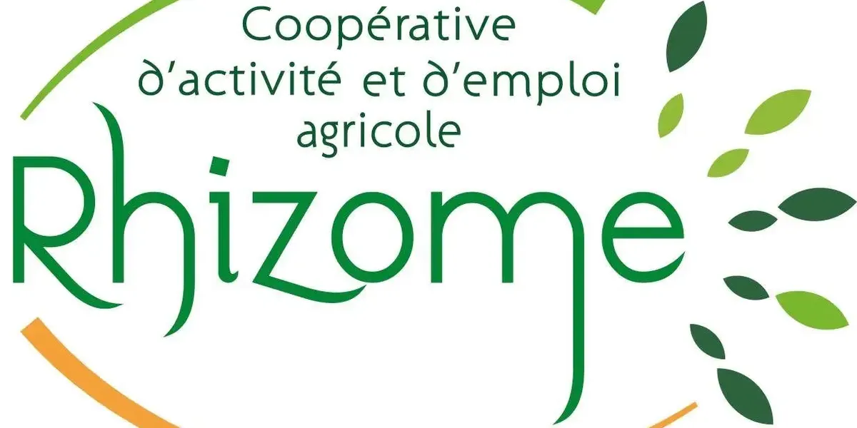 CAE Rhizome