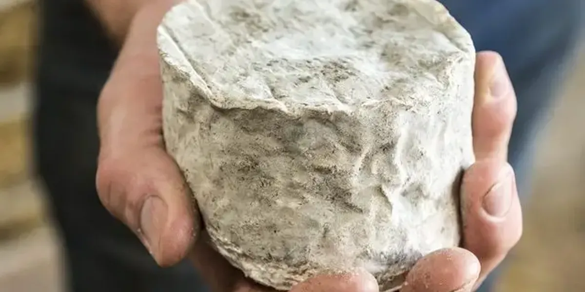 Bergerie Fromagerie Des Abers