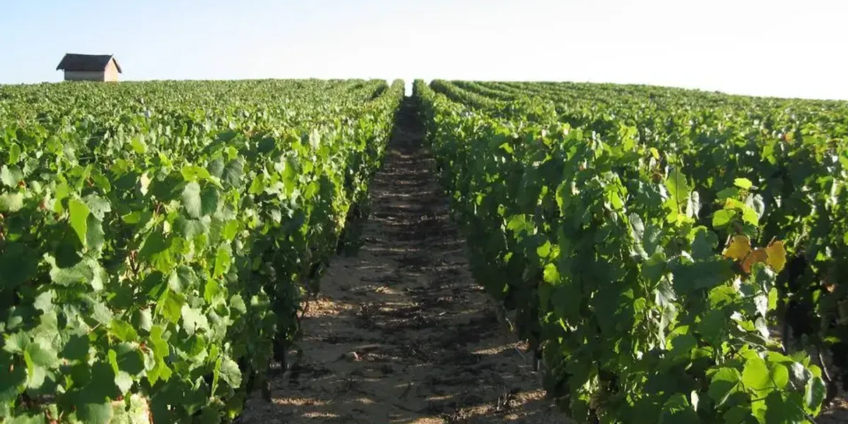 Domaine des Nugues