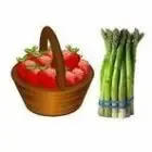 Logo de Cueillette de Fraises, Fleurs & Asperges : TERRADOC