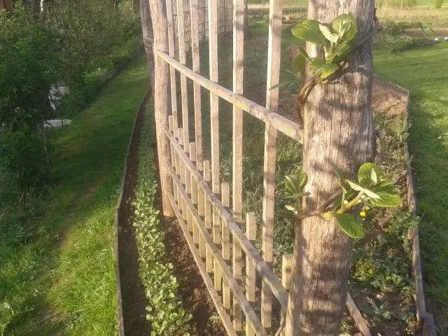 Le Potager du Domaine d'Ansacq