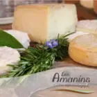 Logo de Les Amanins