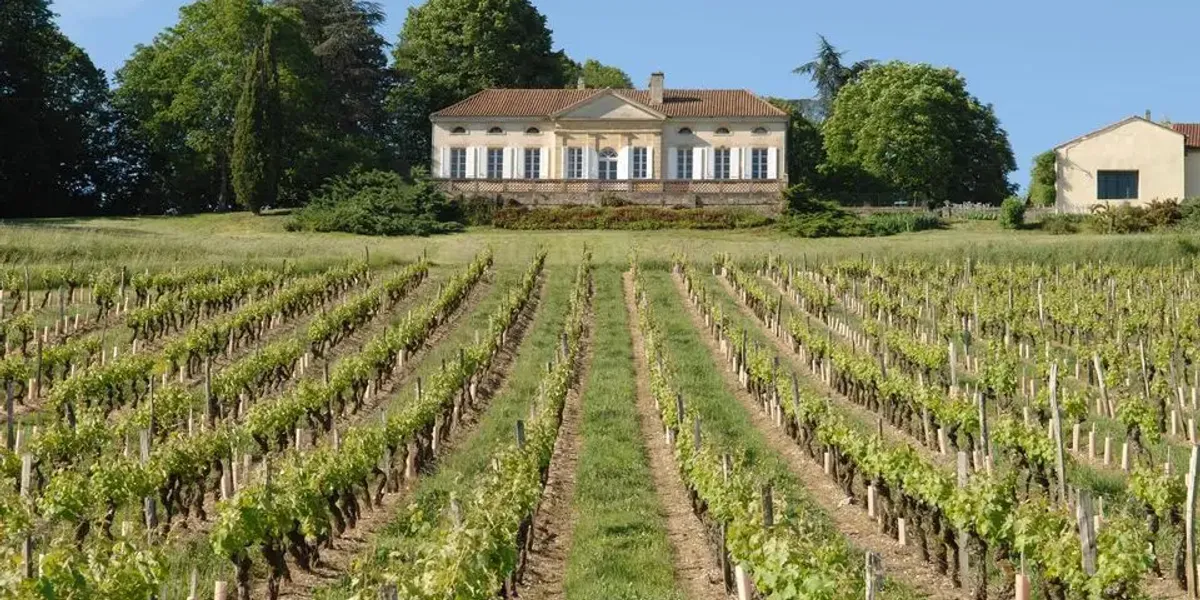 Vignobles Gerardin