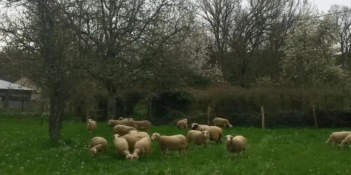 La Ferme Du Petit Pré
