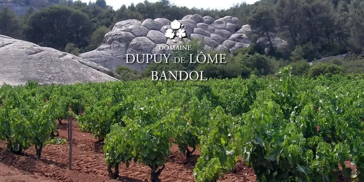 Domaine Dupuy De Lôme