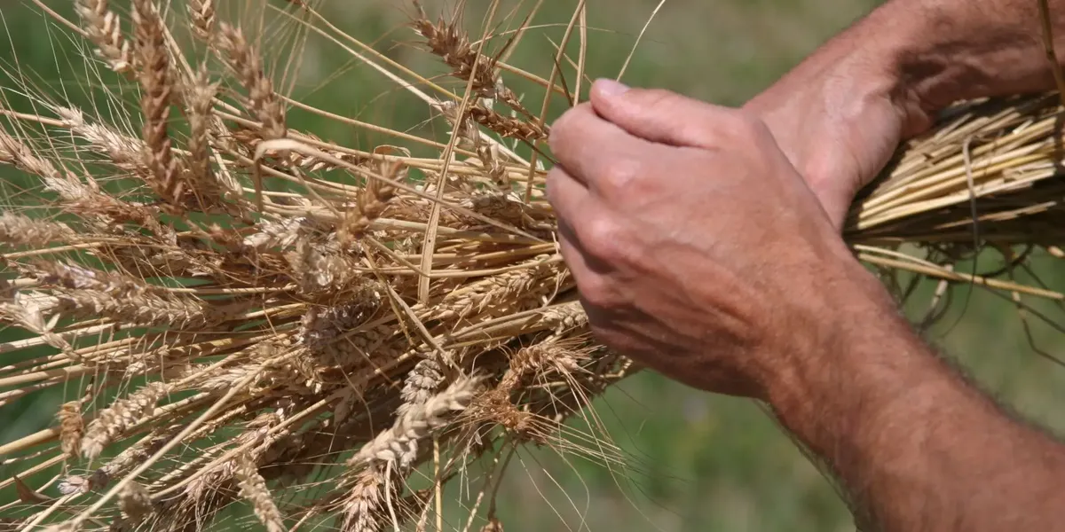 La Ferme Du Pic Bois