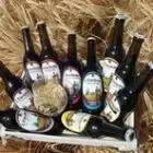 Logo de Microbrewery Chandres