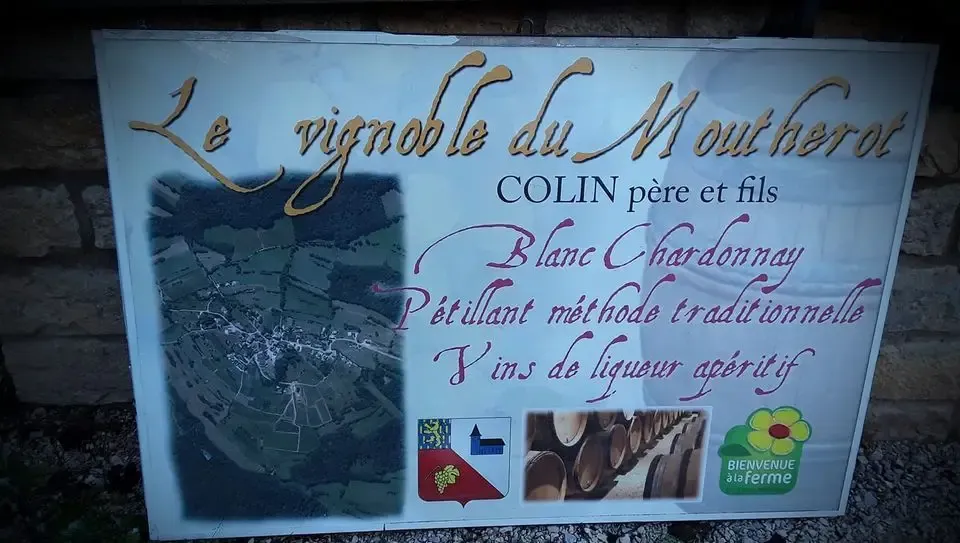 Domaine Viticole du Moutherot