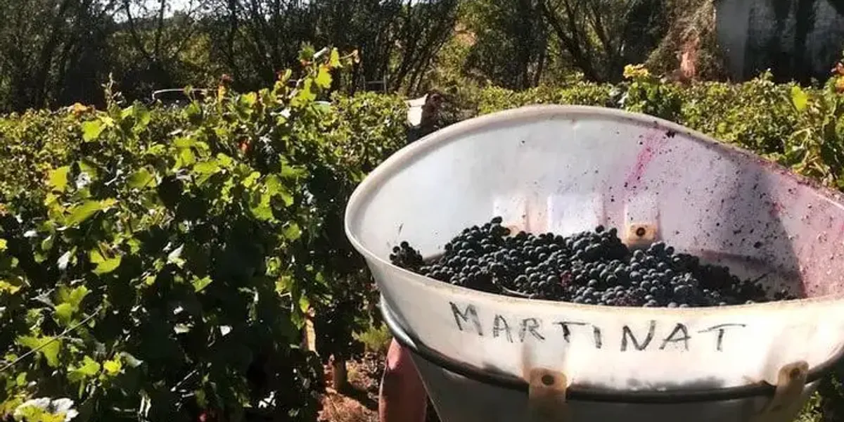 SCEV MARSAUX DONZE / CHATEAU MARTINAT