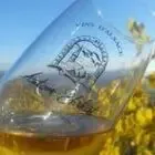 Logo de Vins & Crémants d'Alsace Antoine Ehrhart (SARL)