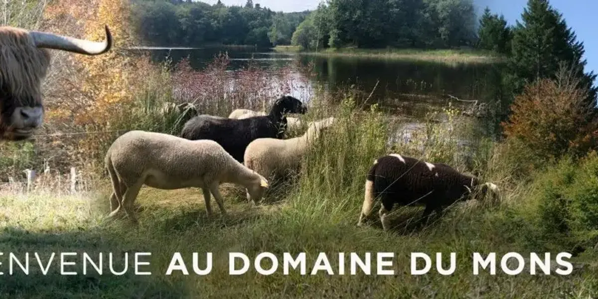 Domaine du Mons