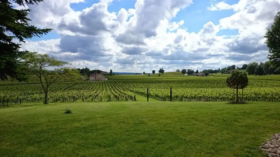Vignobles Décamps