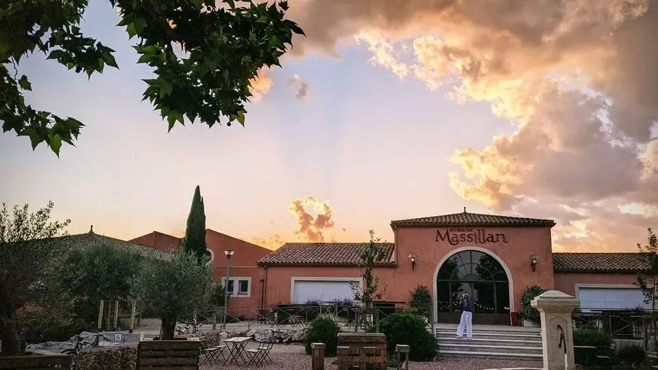 Domaine Massillan - Vignoble près de Montpellier