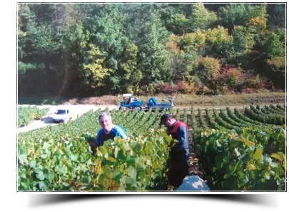 Ellevin (Gaec)