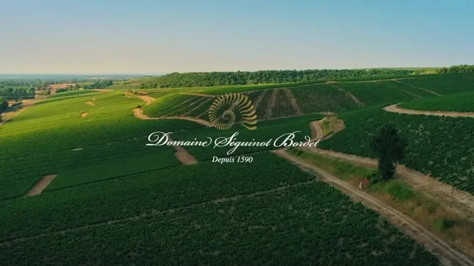 Domaine Séguinot Bordet