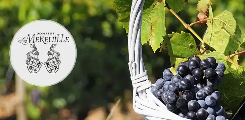 Scea Domaine De La Mereuille