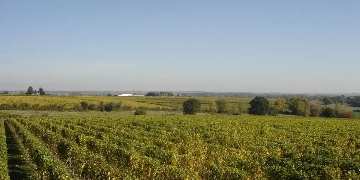 Domaine de la Clartière - EARL Pinet