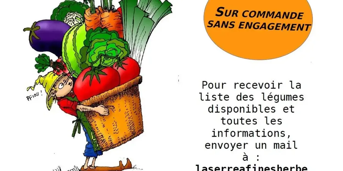 La serre à fines Herbes