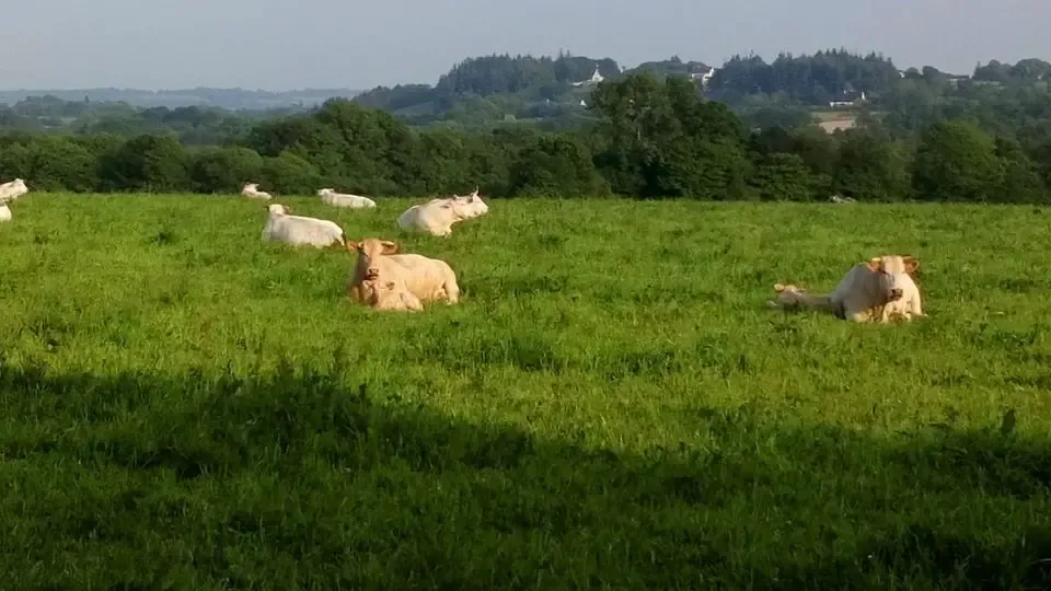 Kig Ferec – Ferme de Kerrigou