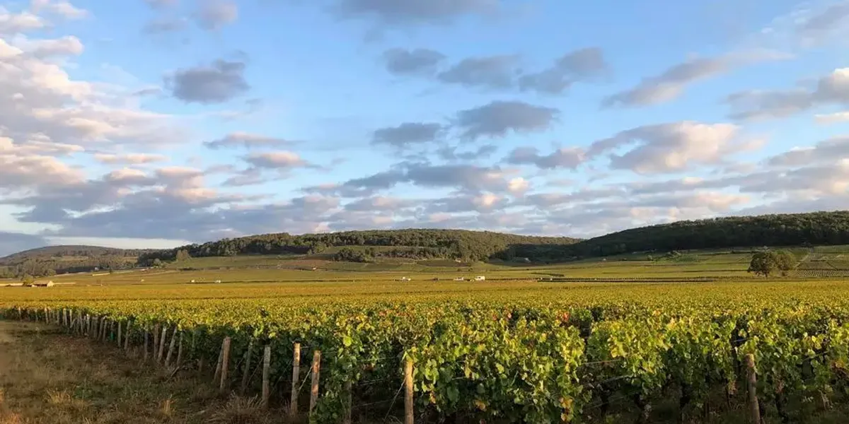 Domaine Pierre and Jean-Baptiste Lebreuil