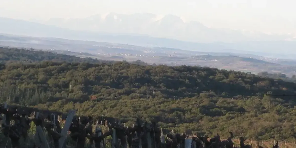 Domaine de l'Arbussele