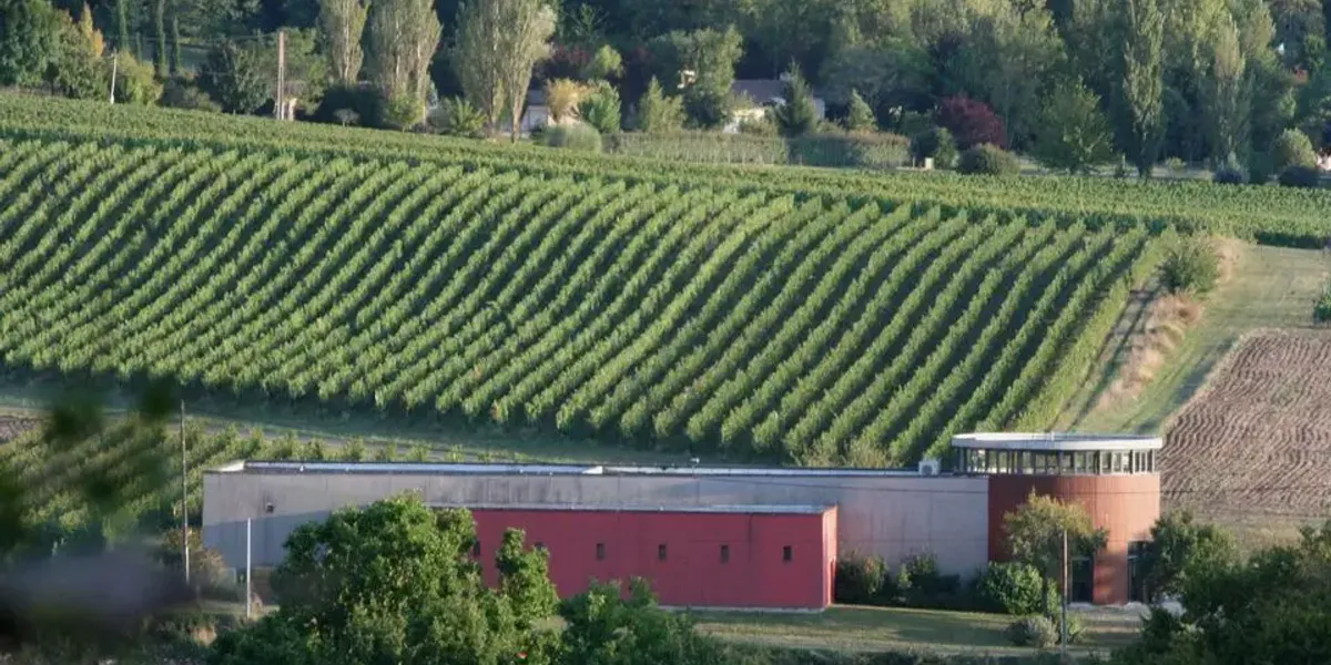 SCEA LE PETIT CLUZEAU / CHATEAU CLUZEAU
