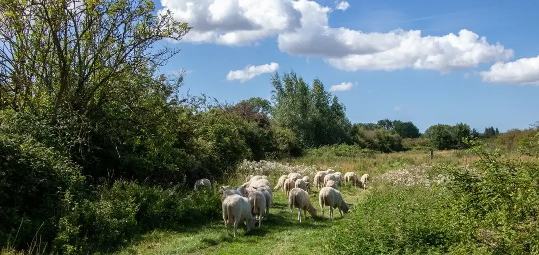 La Bergerie De Crozon