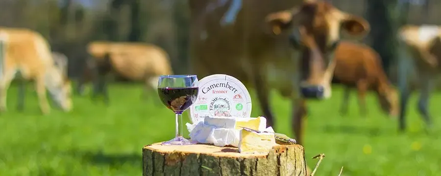 Ferme Des Aulnays