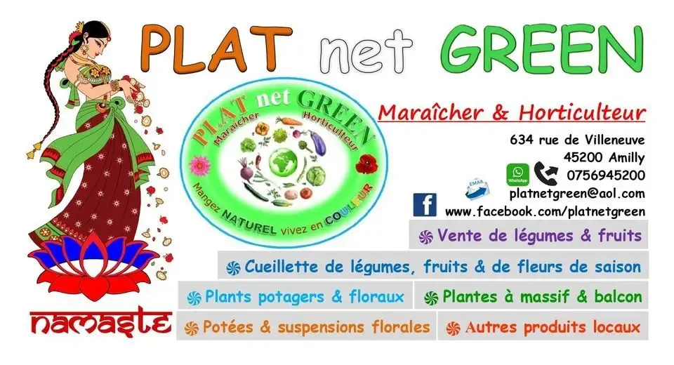 PLAT net GREEN