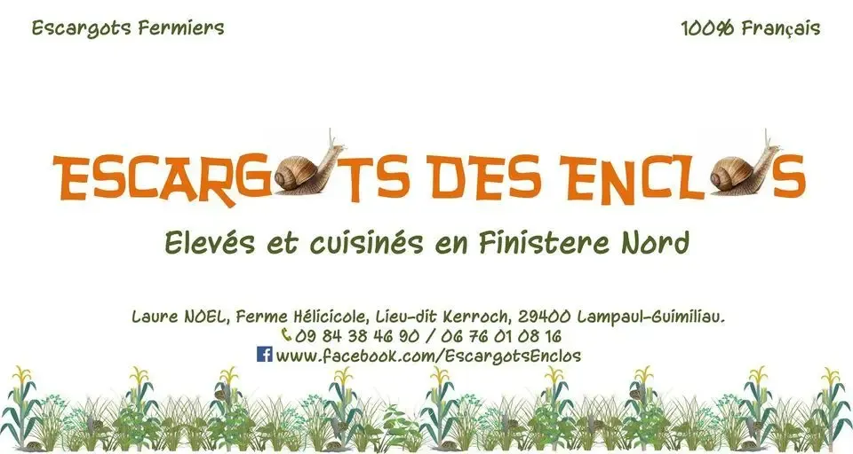 LES ESCARGOTS DES ENCLOS