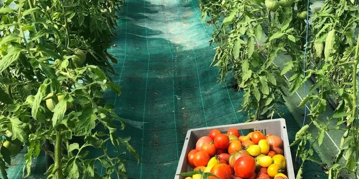La Ferme de Verdurette