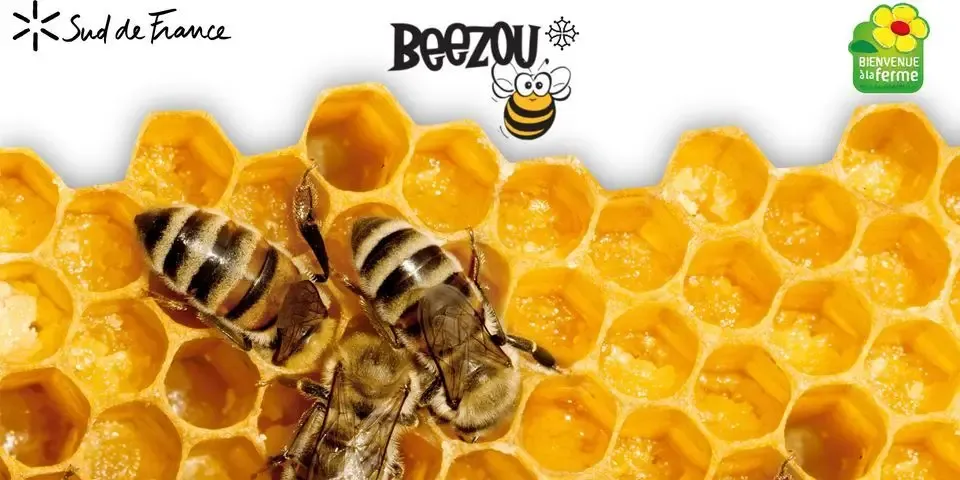 Beezou