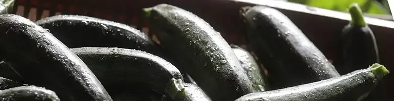 Andrés Jean-Pierre