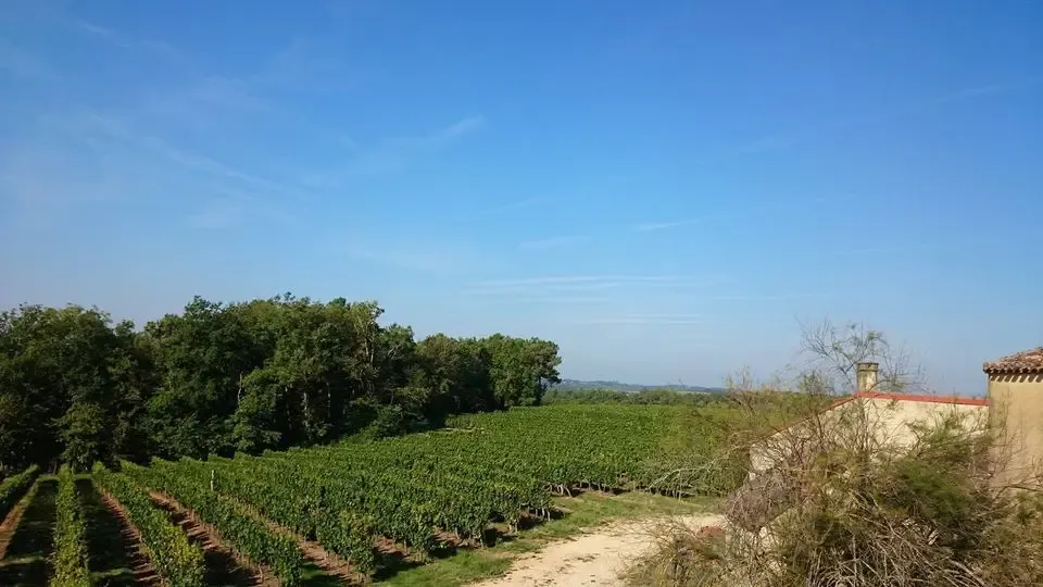 Château Le Brézéguet