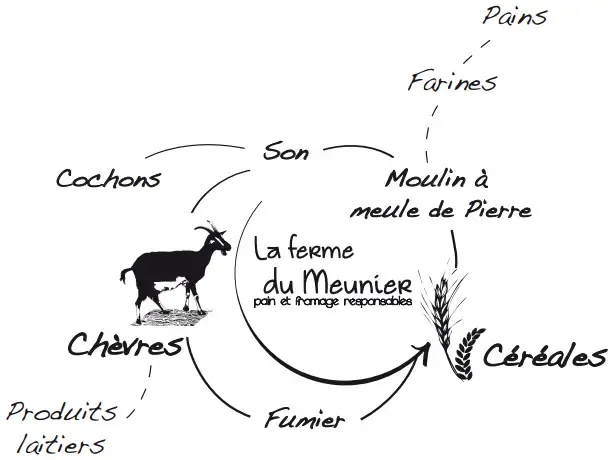 La Ferme du Meunier