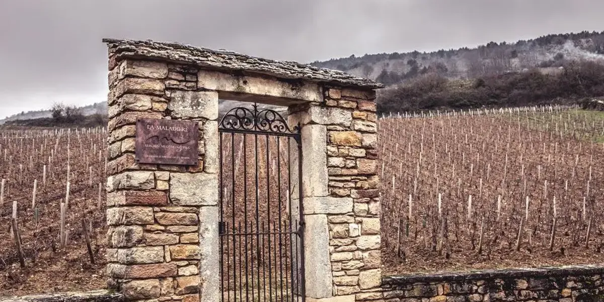 Domaine Lucien Muzard et fils