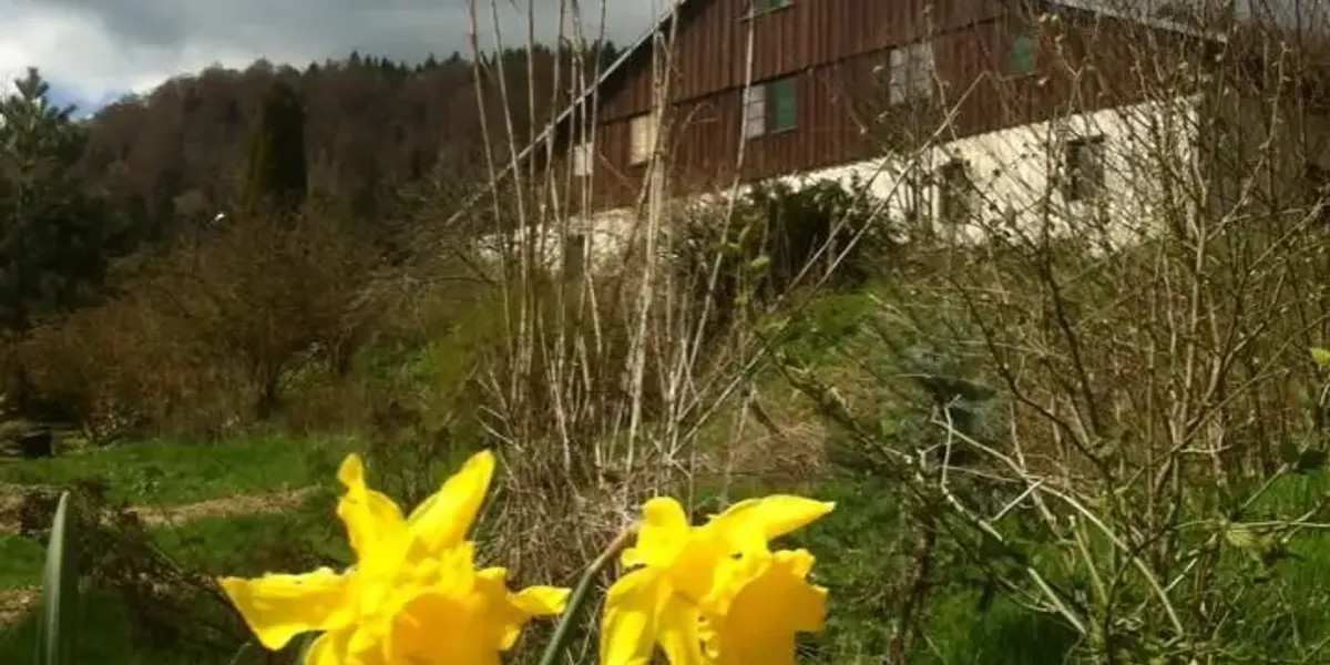 Ferme Auberge de Fremondans
