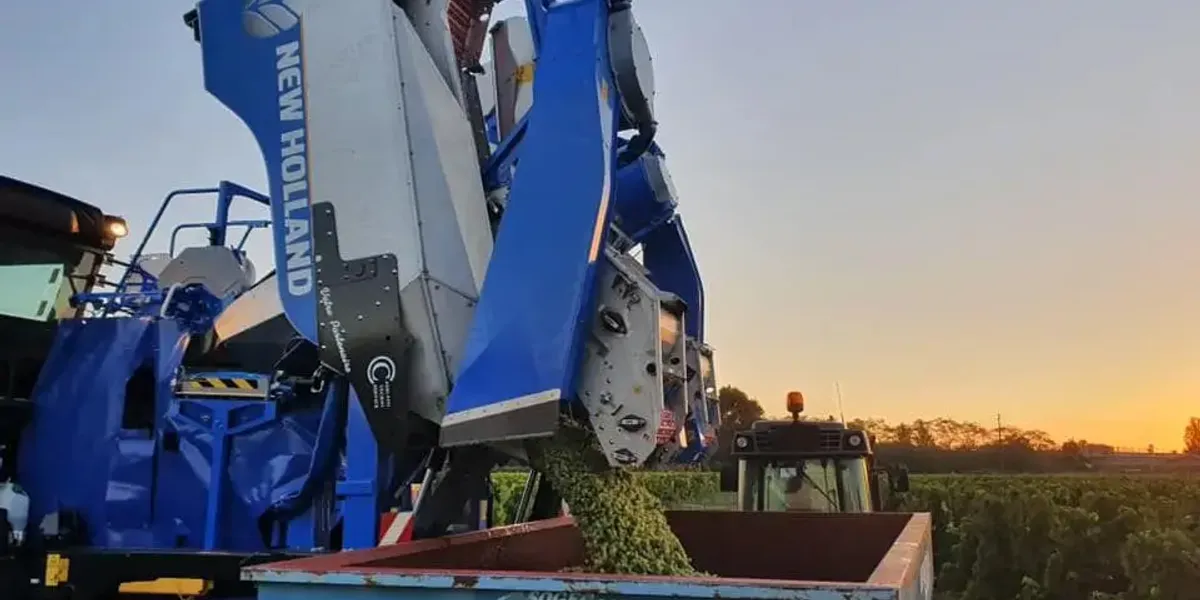 Château La Barotte en Gironde et en Charente Maritime