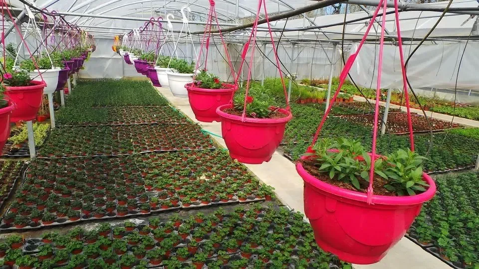 Horticulture MONCHANY