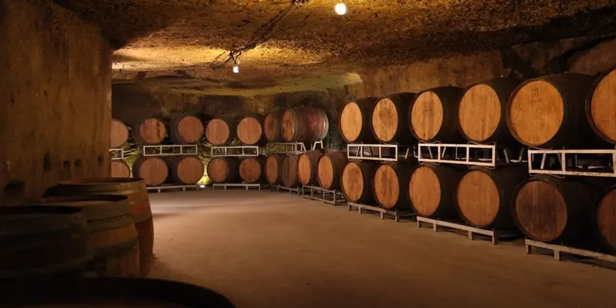 M Plouzeau - Château de la Bonnelière