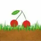 Logo de Le Rucher des Arches
