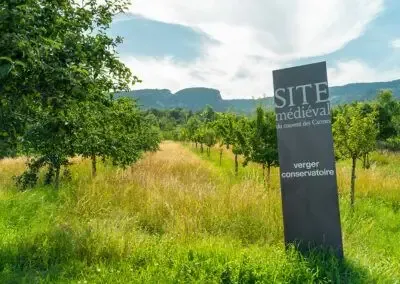 Site Médiéval du couvent des Carmes