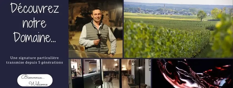 VIGNOBLE DE LA JARNOTERIE