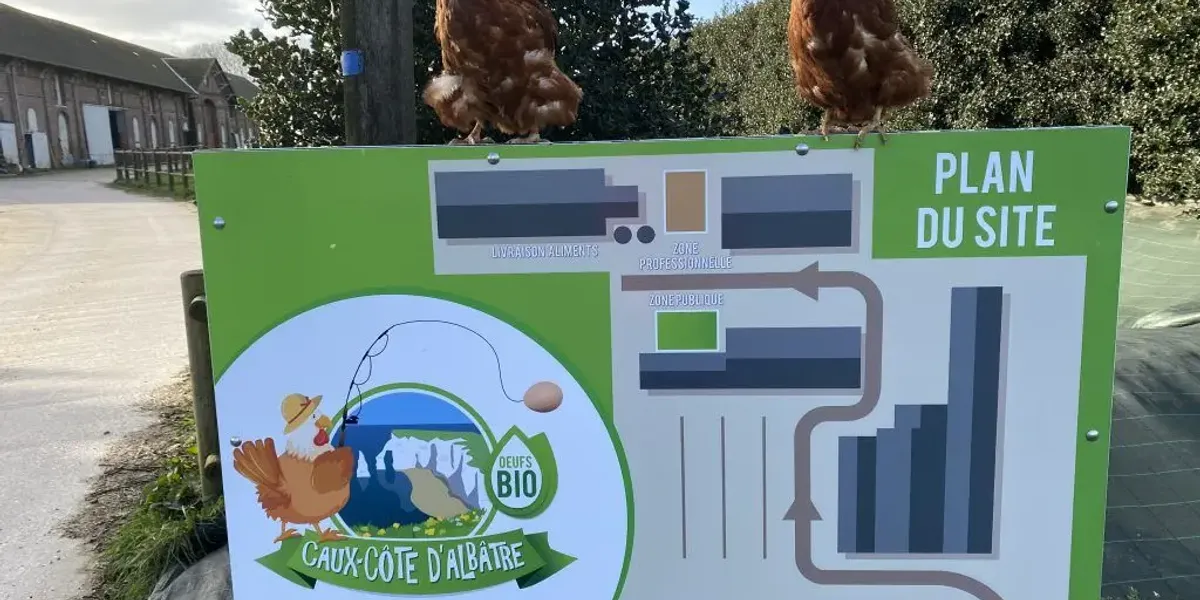 SARL CAUX COTE D'ALBÂTRE