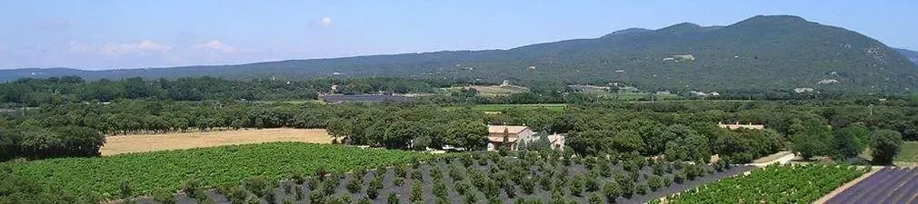 DOMAINE LA PELLEGRINE