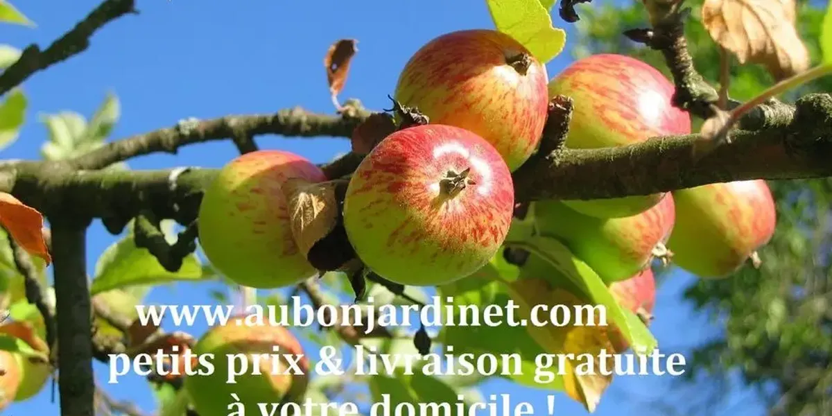 Au Bon Jardinet