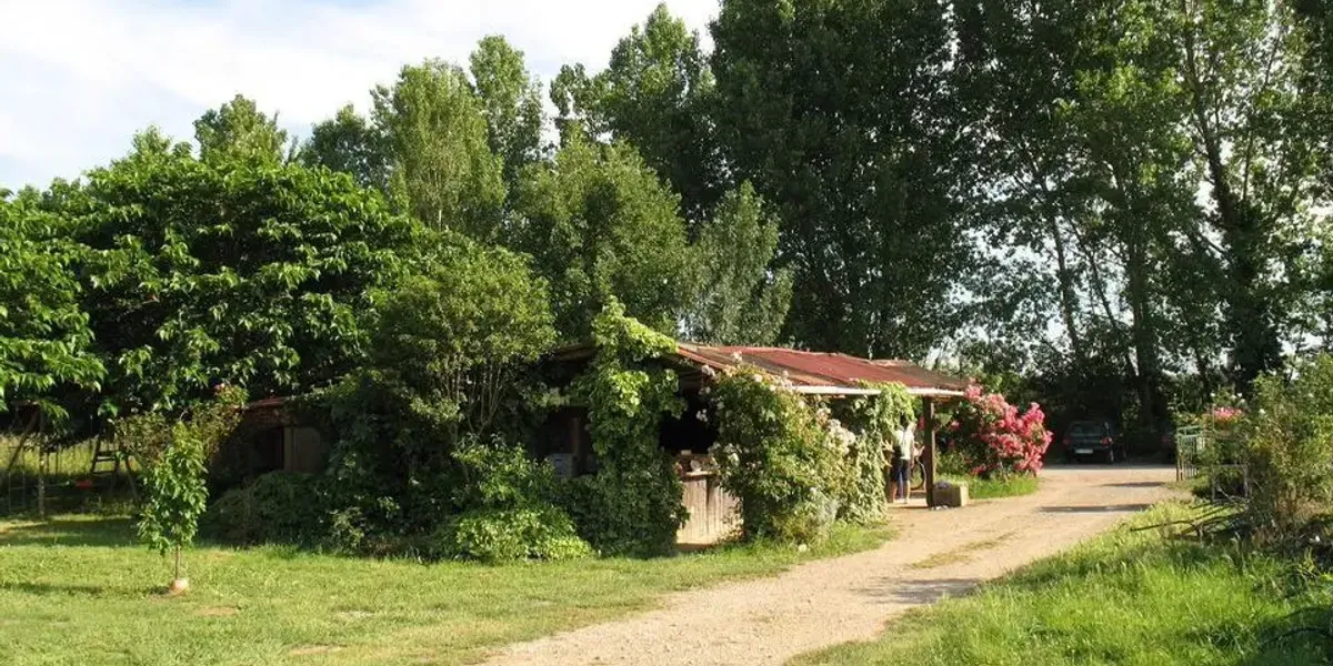 Midi Cueillette