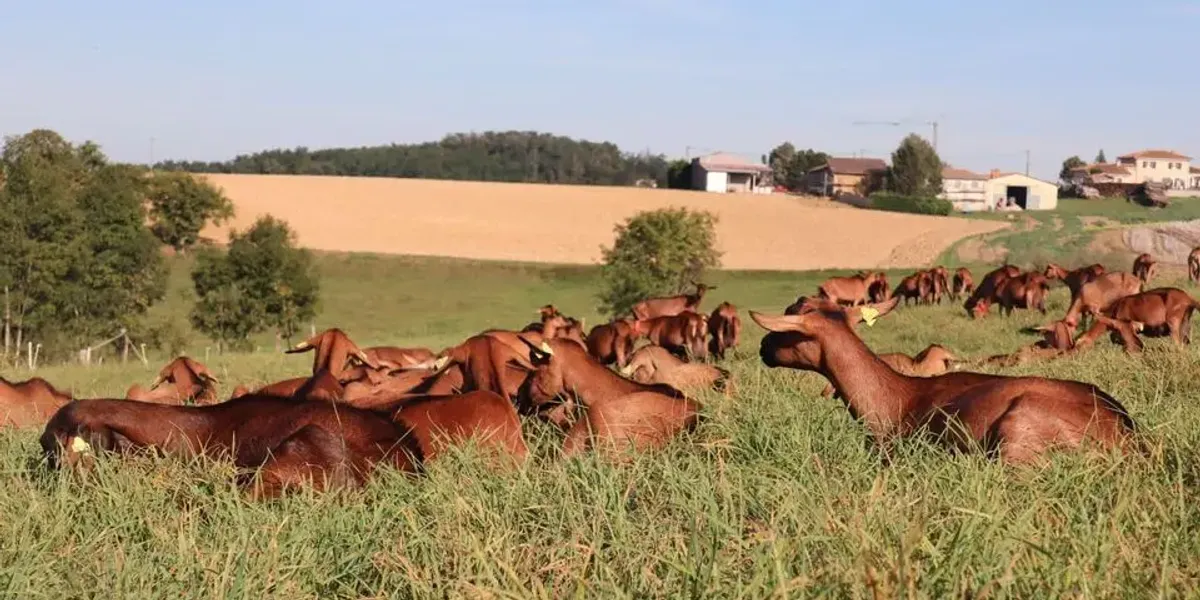 La Ferme des Bacholles